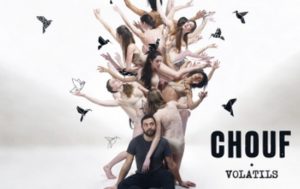 Album Chouf Volatis/dr
