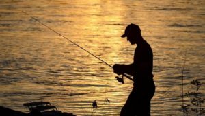 Comment pêcher le carnassier dans la Garonne ? cdr
