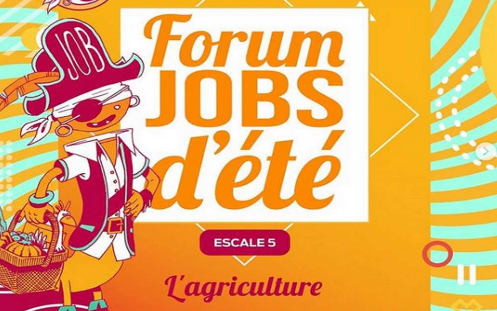 Occitanie. Les offres de jobs d’été se multiplient via Instagram source : capture d’écran du compte Instagram Pij Sicoval