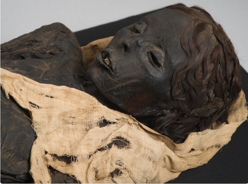 Toulouse. Une grande exposition consacrée aux momies au Muséum cdr